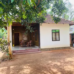 https://the-munroe-villagio-homey.kerala-hotels.net